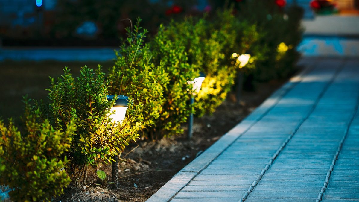 Landscape Lighting Ideas